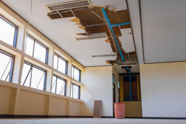Best Basement water damage restoration  in Waverly, NE