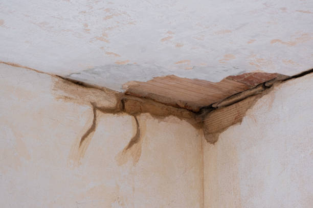 Best Water damage mitigation services  in Waverly, NE