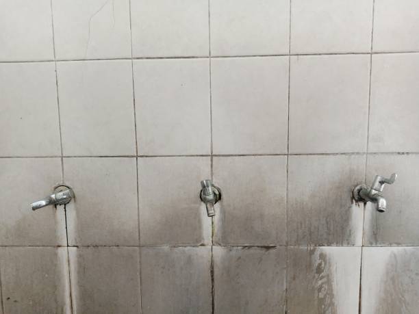 Best Water damage contractors near me  in Waverly, NE