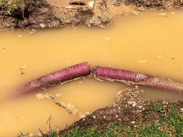 Sewage cleanup and water damage restoration in Waverly, NE