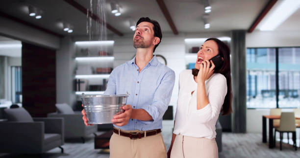  Waverly, NE Water damage restoration Pros